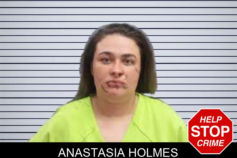 Anastasia Holmes mugshot – Lee County , Georgia Anastasia Holmes mugshot