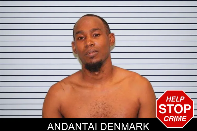Andantai Denmark mugshot