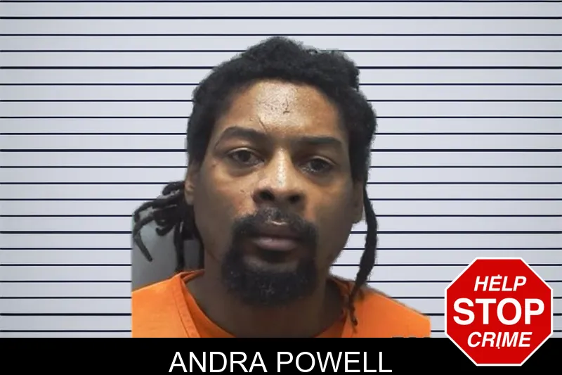 Andra Powell mugshot – Cherokee County , Georgia Andra Powell mugshot
