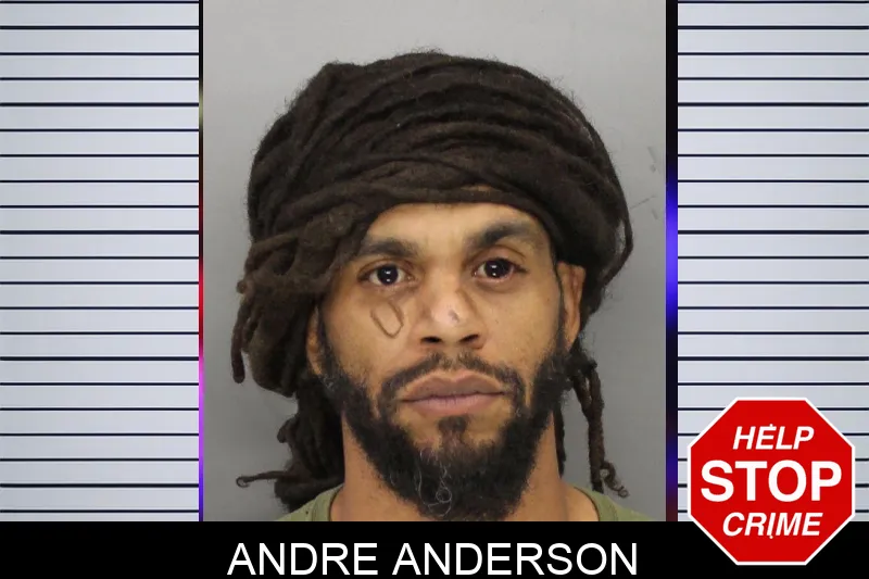Andre Anderson mugshot – Cobb County , Georgia Andre Anderson mugshot