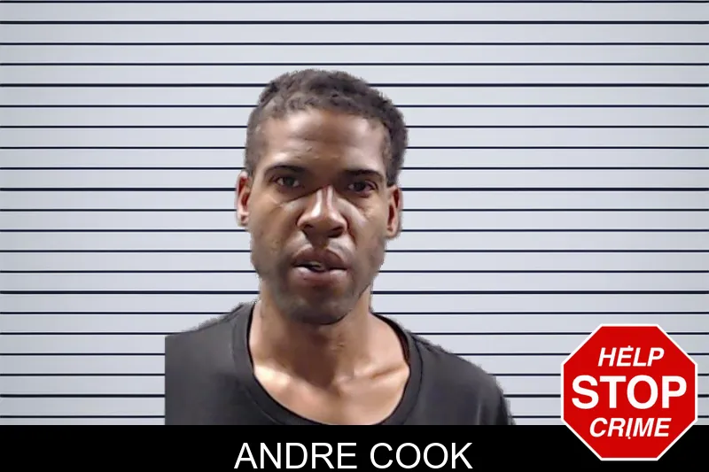 Andre Cook mugshot