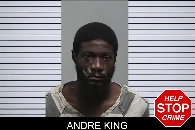 Andre King mugshot