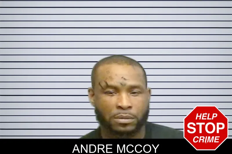 Andre McCoy mugshot