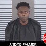 Andre Palmer mugshot