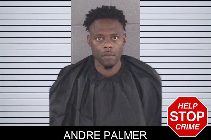 Andre Palmer mugshot