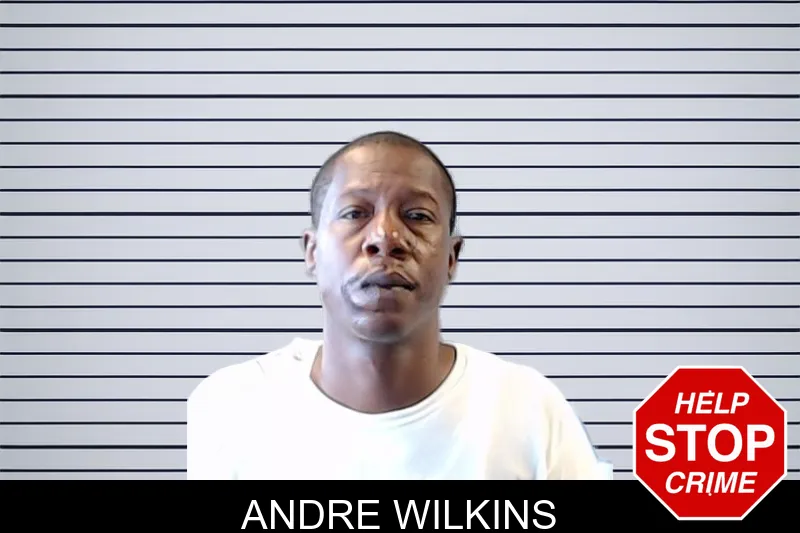 Andre Wilkins mugshot