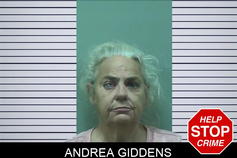 Andrea Giddens mugshot
