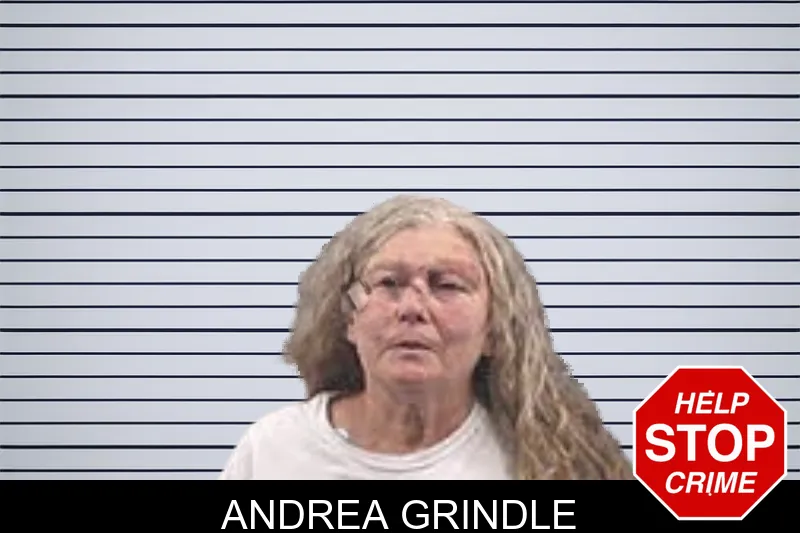Andrea Grindle mugshot – Banks County , Georgia Andrea Grindle mugshot