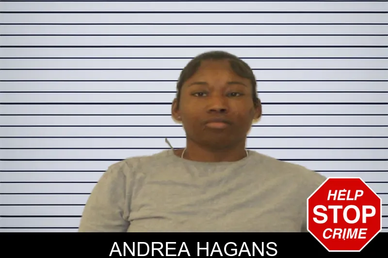 Andrea Hagans mugshot – Johnson County , Georgia Andrea Hagans mugshot