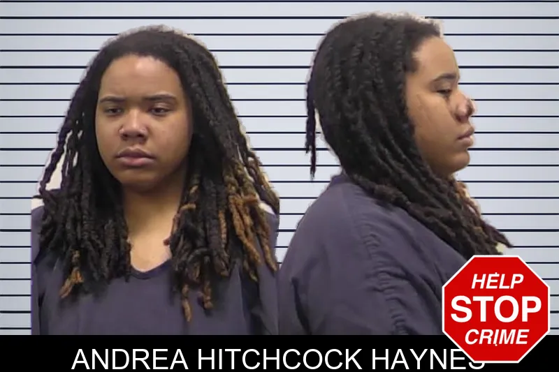 Andrea Hitchcock Haynes mugshot