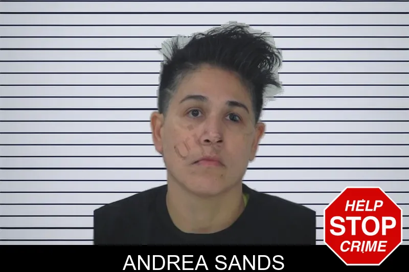 Andrea Sands mugshot – Fayette County , Georgia Andrea Sands mugshot