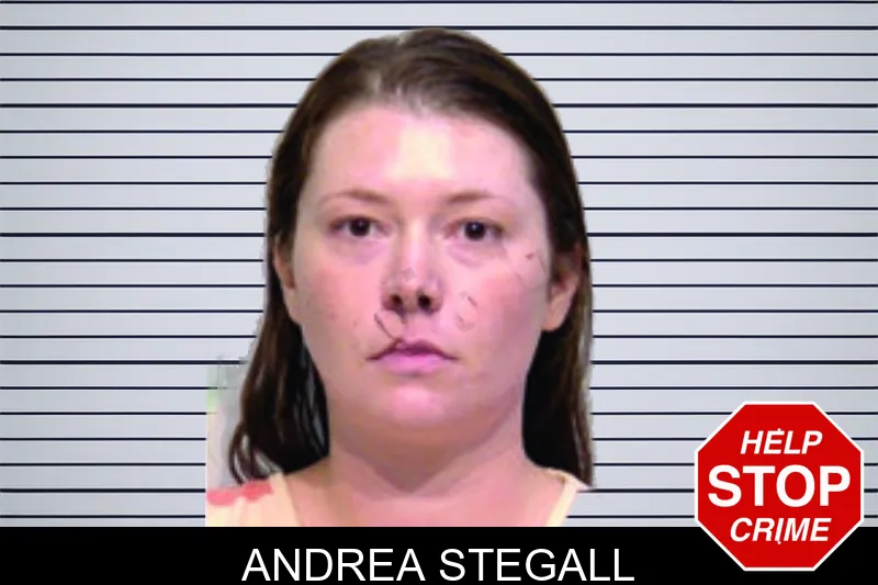 Andrea Stegall mugshot