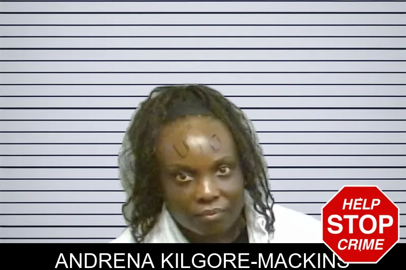 Andrena Kilgore-Mackins mugshot – Fulton County , Georgia Andrena Kilgore-Mackins mugshot