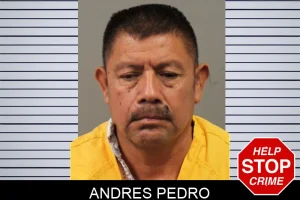 Andres Pedro mugshot
