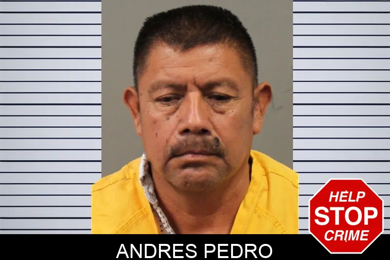 Andres Pedro mugshot – Cobb County , Georgia Andres Pedro mugshot