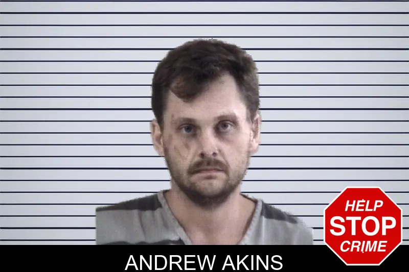 Andrew Akins mugshot