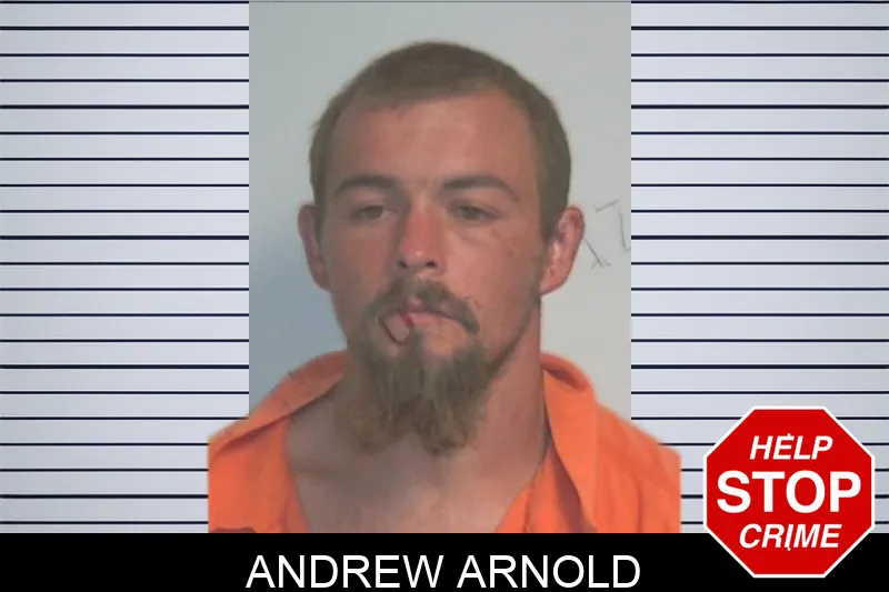 Andrew Arnold mugshot