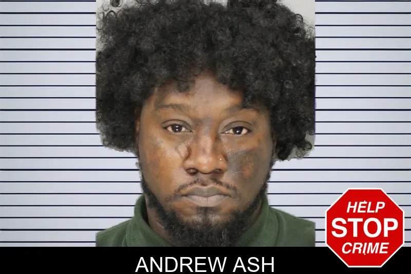 Andrew Ash mugshot – Cobb County , Georgia Andrew Ash mugshot