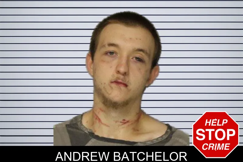 Andrew Batchelor mugshot