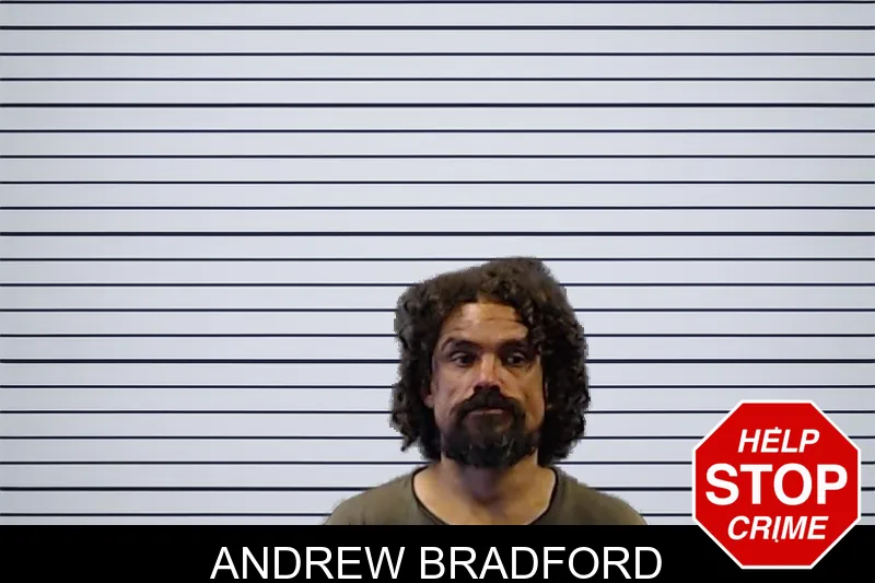 Andrew Bradford mugshot