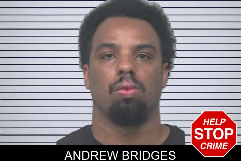 Andrew Bridges mugshot
