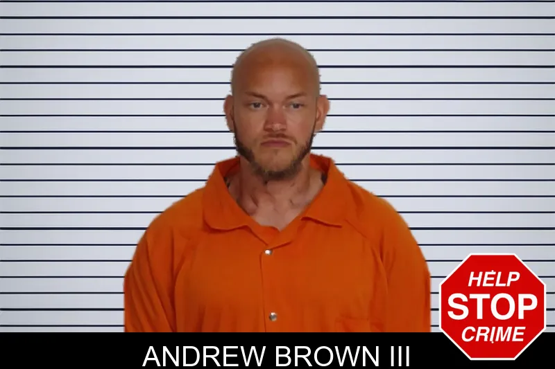 Andrew Brown III mugshot
