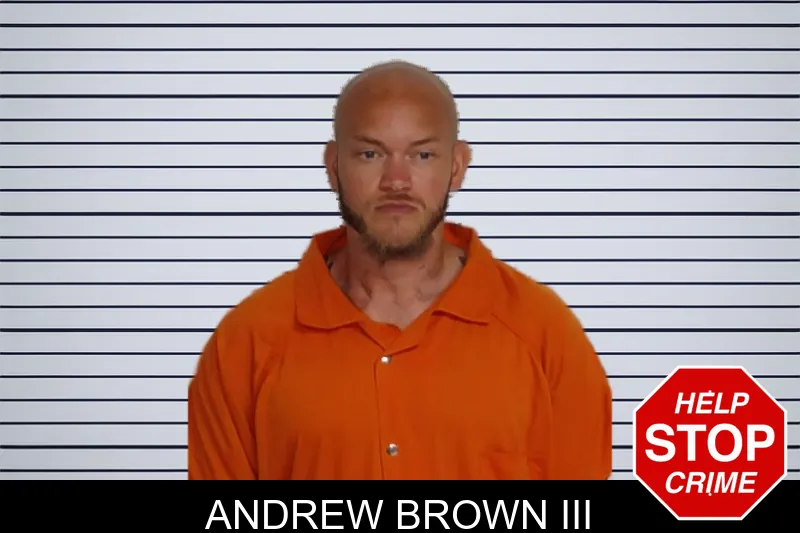 Andrew Brown III mugshot