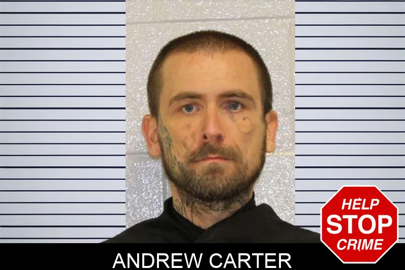 Andrew Carter mugshot