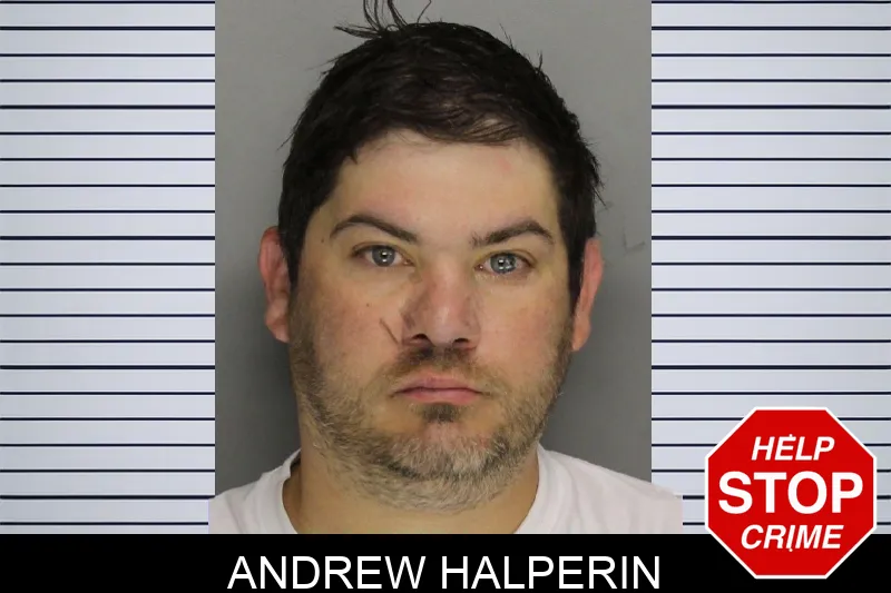 Andrew Halperin mugshot