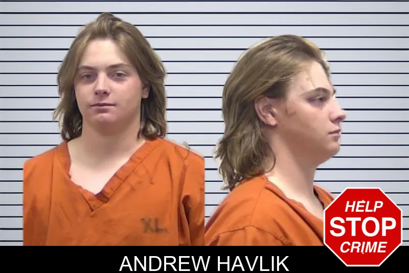 Andrew Havlik mugshot