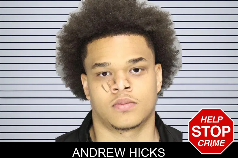 Andrew Hicks mugshot