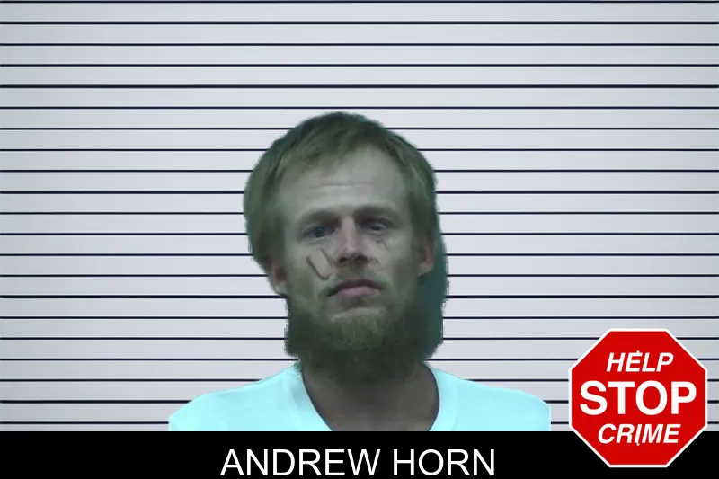Andrew Horn mugshot