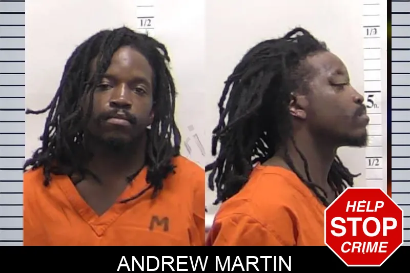 Andrew Martin mugshot
