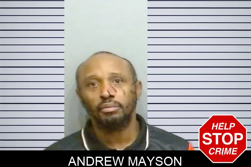 Andrew Mayson mugshot