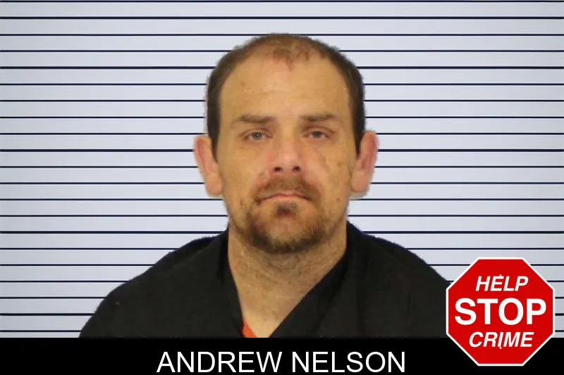 Andrew Nelson mugshot