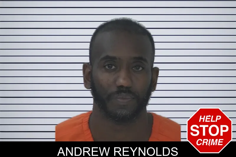Andrew Reynolds mugshot – Fayette County , Georgia Andrew Reynolds mugshot