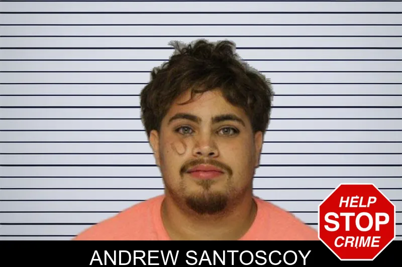 Andrew Santoscoy mugshot – Hall County , Georgia Andrew Santoscoy mugshot