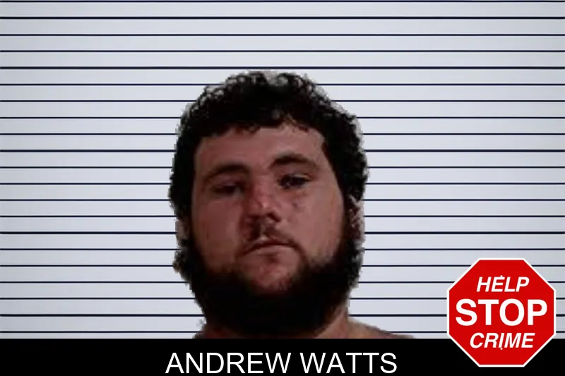 Andrew Watts mugshot