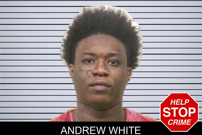 Andrew White mugshot – Bulloch County , Georgia Andrew White mugshot
