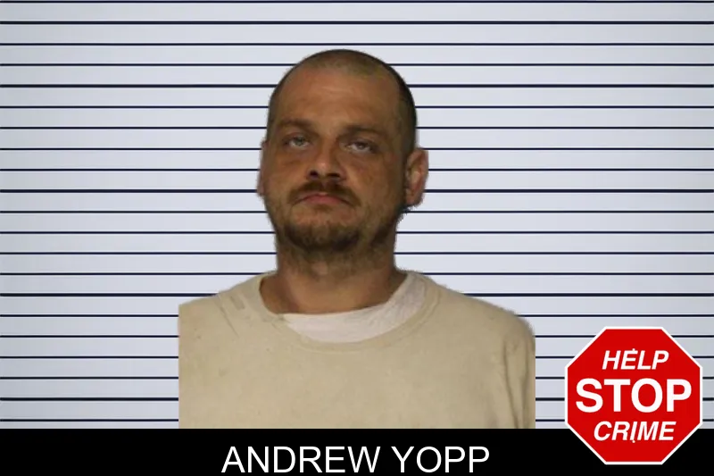 Andrew Yopp mugshot