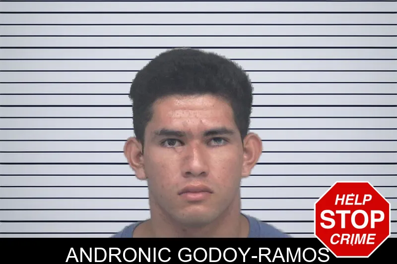 Andronic Godoy-Ramos mugshot – Gwinnett County , Georgia Andronic Godoy-Ramos mugshot