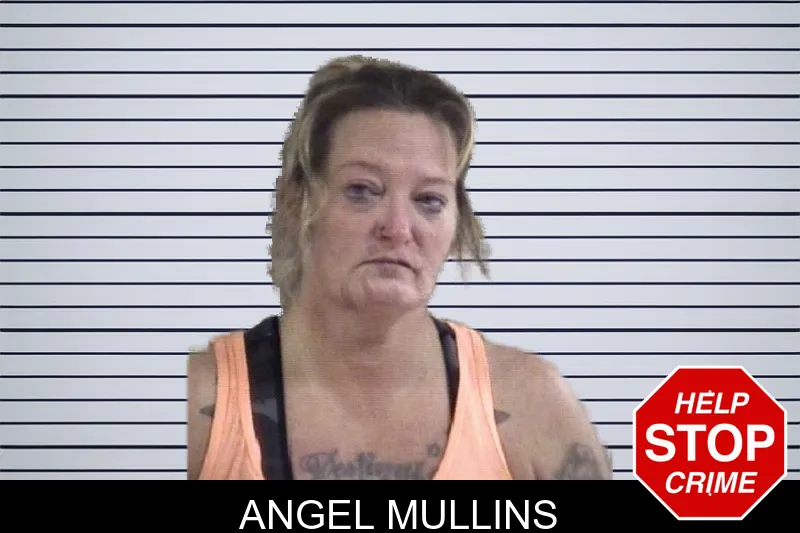 Angel Mullins mugshot