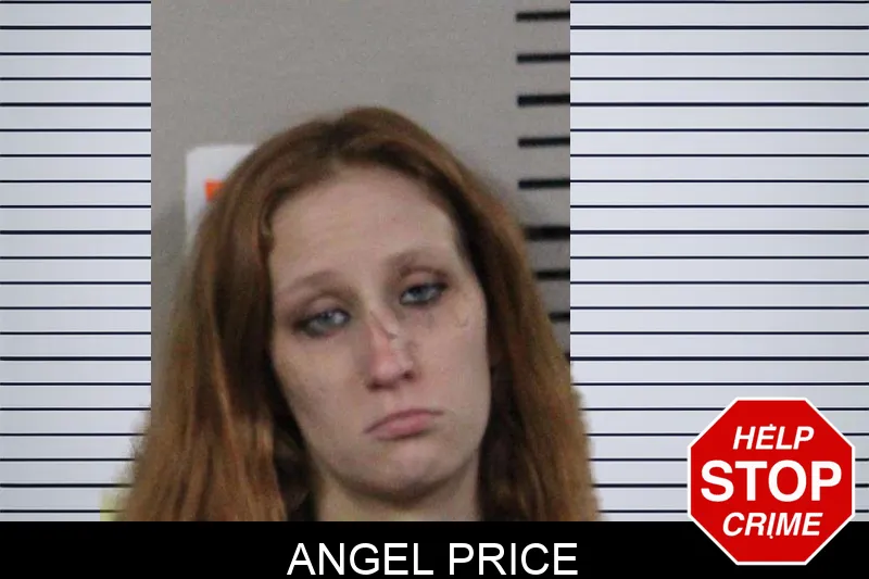 Angel Price mugshot