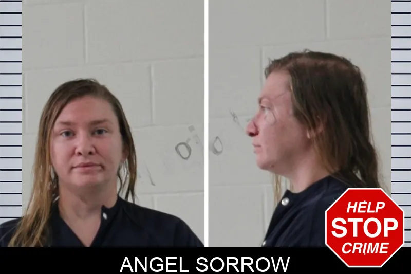 Angel Sorrow mugshot – Houston County , Georgia Angel Sorrow mugshot