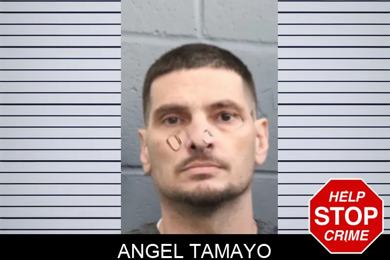 Angel Tamayo mugshot