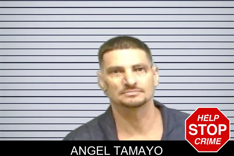 Angel Tamayo mugshot – Fulton County , Georgia Angel Tamayo mugshot