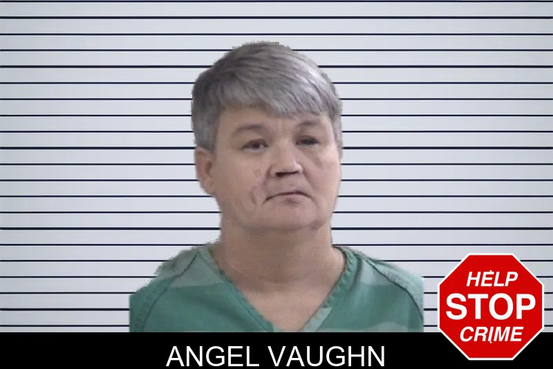 Angel Vaughn mugshot – Whitfield County , Georgia Angel Vaughn mugshot