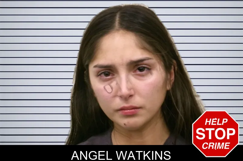 Angel Watkins mugshot – Bulloch County , Georgia Angel Watkins mugshot