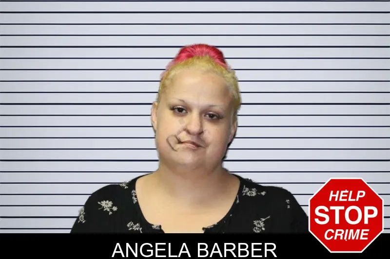 Angela Barber mugshot
