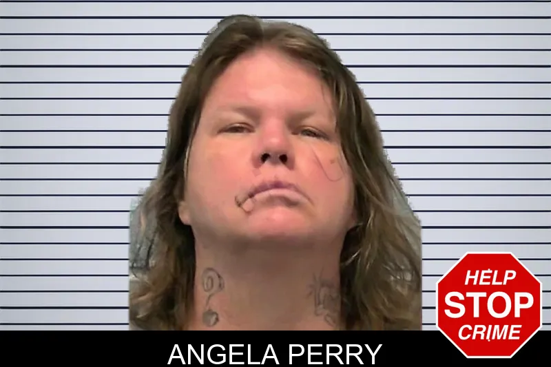 Angela Perry mugshot
